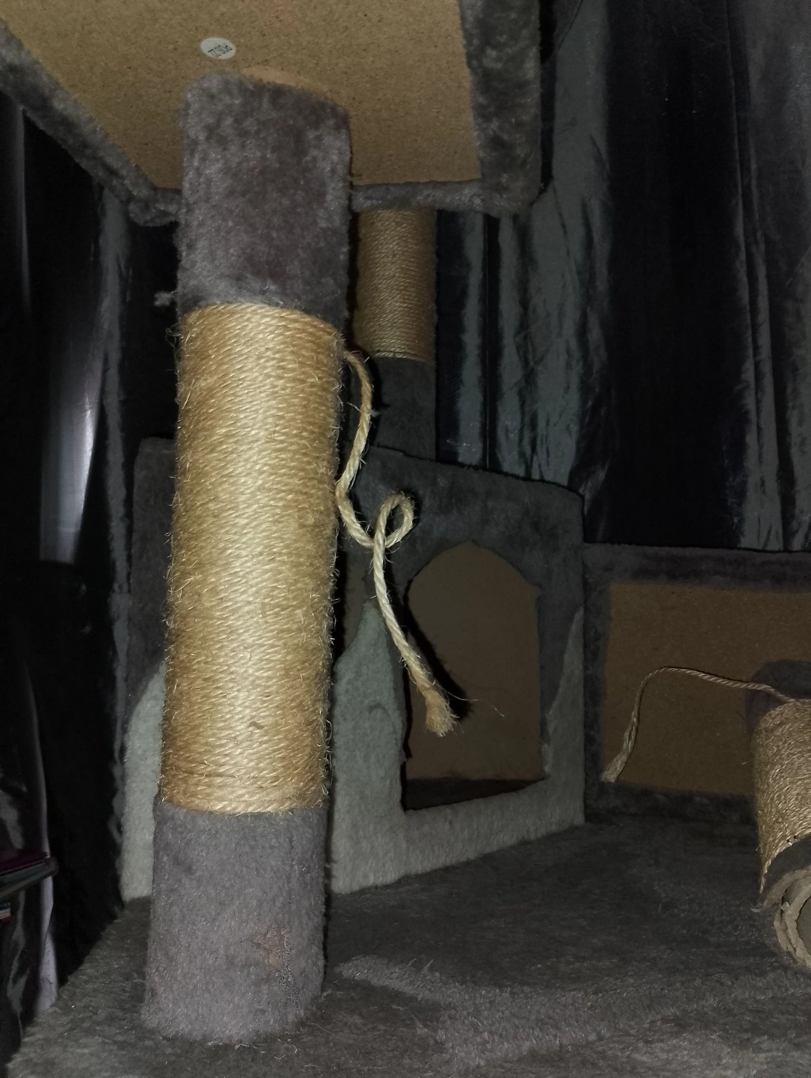 Grande árvore de gato 2M de altura – photo 15